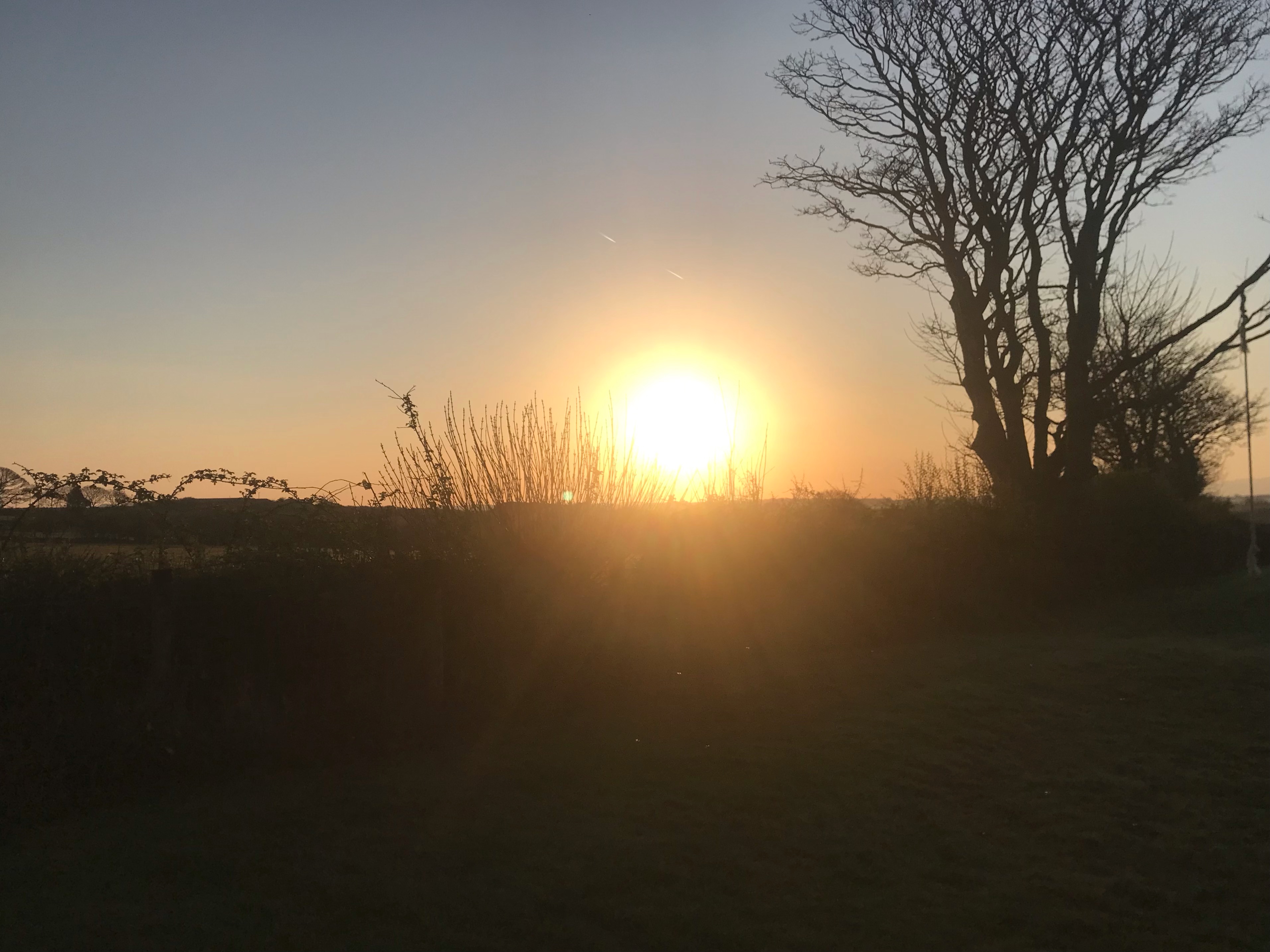 Integrative clinical hypnotherapist offering EMDR therapy in Cheshire